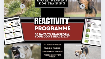 Product image for Reactivity Rehab Programme 