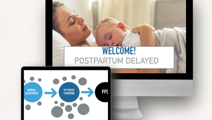 Product image for Postpartum Delayed