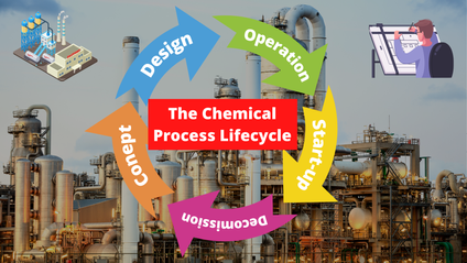 Product image for The Chemical Process Lifecycle