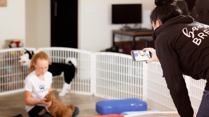 Product image for 4 week Puppy Evaluation Course - 2025