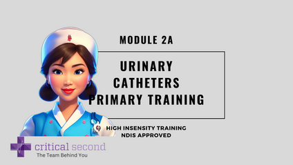 Product image for Critical Second Primary Training, Module 2A - Urinary Catheters