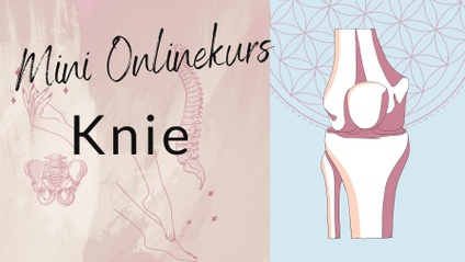 Product image for Gesundes Yoga für deine KNIE