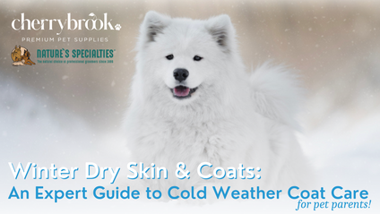 Product image for Winter Dry Skin & Coats: An Expert Guide to Cold Weather Coat Care
