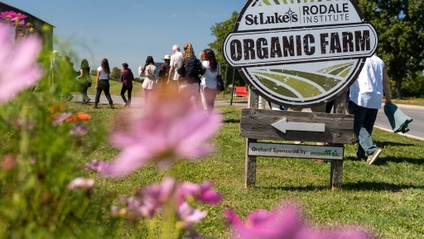 Product image for Regenerative Health: Rooting Health in Soil 