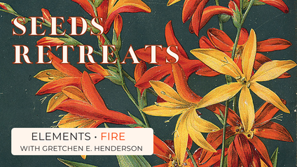 Product image for Seed Retreat: Fire