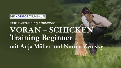 Product image for Retrievertraining EINWEISEN | Voran-Schicken Training Beginner