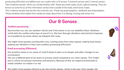 Product image for 8 senses info sheets