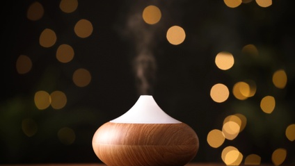 Product image for The Easiest And Most Practical Guide to Using Essential oils