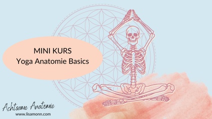 Product image for MINIKURS: Yoga Anatomie Basics