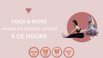 Product image for ONLINE HANDS ON ASSISTS COURSE