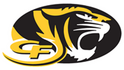 Product image for CF Tigers Intro to Dispatch