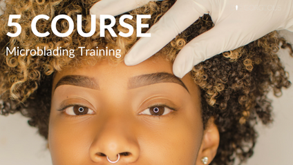 Product image for 5 Course Microblading Program