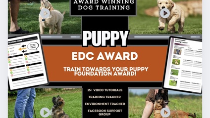 Product image for Puppy (EDC) Foundations Course