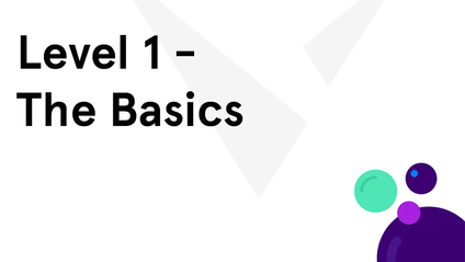 Product image for Vivi Level 1 Training - The Basics