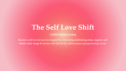 Product image for The Self Love Shift: A Wild Feminine Journey