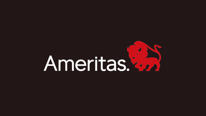 Product image for Ameritas Flex Term