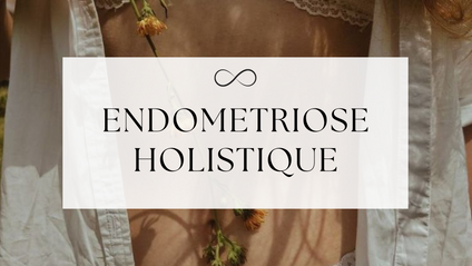 Product image for Endométriose Holistique