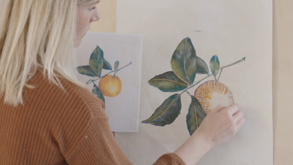 Product image for Citrus Botanicals Bundle