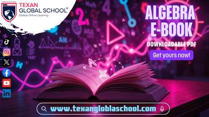 Product image for Algebra E-book