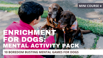 Product image for Enrichment for Dogs: Mental Activity Pack