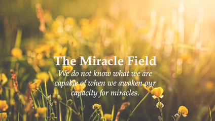 Product image for The Miracle Field