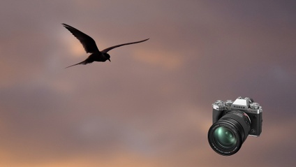 Product image for Mastering the FUJIFILM Autofocus System