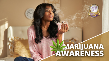 Product image for Marijuana Awareness