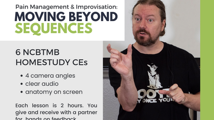 Product image for Pain Management & Improvisation: Moving Beyond Sequences