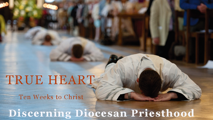 Product image for True Heart - Discerning Diocesan Priesthood
