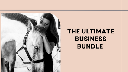Product image for Ultimate Business Bundle 