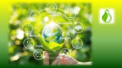 Product image for Renewable Energy & Biofuels