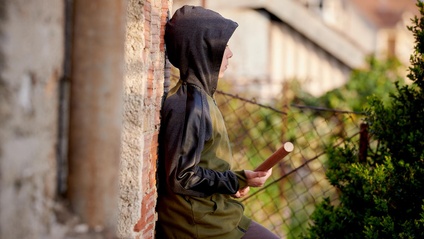 Product image for Youth and adolescence at risk and conflict with the law