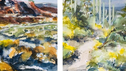 Product image for Desert Landscapes, Bundle
