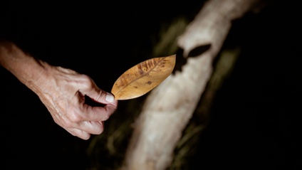 Product image for Autumn Cards