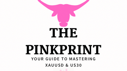 Product image for THE PINKPRINT