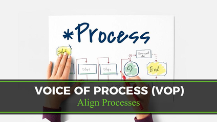 Product image for Voice of Process Masterclass