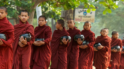 Product image for Course 2: The Foundations of Buddhism: Theravada Teachings