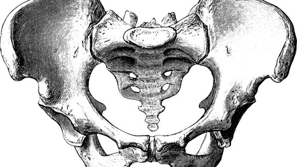 Product image for Pelvis posture and pelvic floor