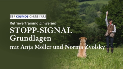 Product image for Retrievertraining EINWEISEN | Stopp-Signal Grundlagen