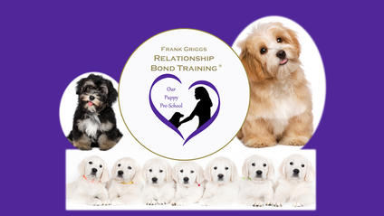 Product image for Save a Puppy Parents Guide
