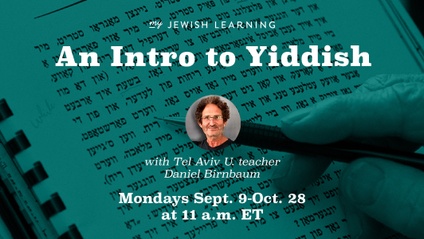 Product image for Intro to Yiddish