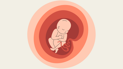 Product image for Second Trimester Affirmations