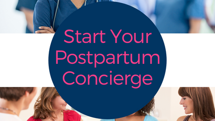 Product image for Start Your Postpartum Concierge On Demand Course