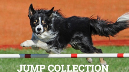 Product image for Jump Collection Exercises