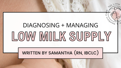 Product image for Low Breastmilk Supply Guide