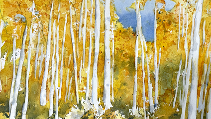 Product image for Fall Colors - Aspen, Workshop 