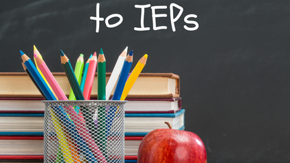Product image for Parents Guide to IEPs