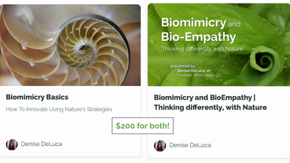 Product image for Biomimicry Bundle