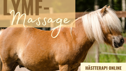 Product image for Lymfmassage