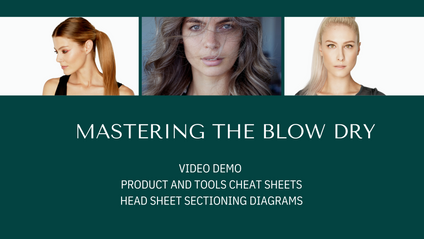 Product image for Mastering the Blow Dry